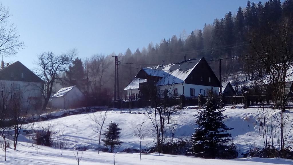 Penzion Edelstejn Petrovice  Exteriör bild