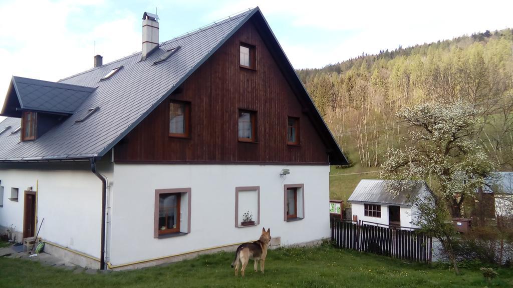Penzion Edelstejn Petrovice  Exteriör bild