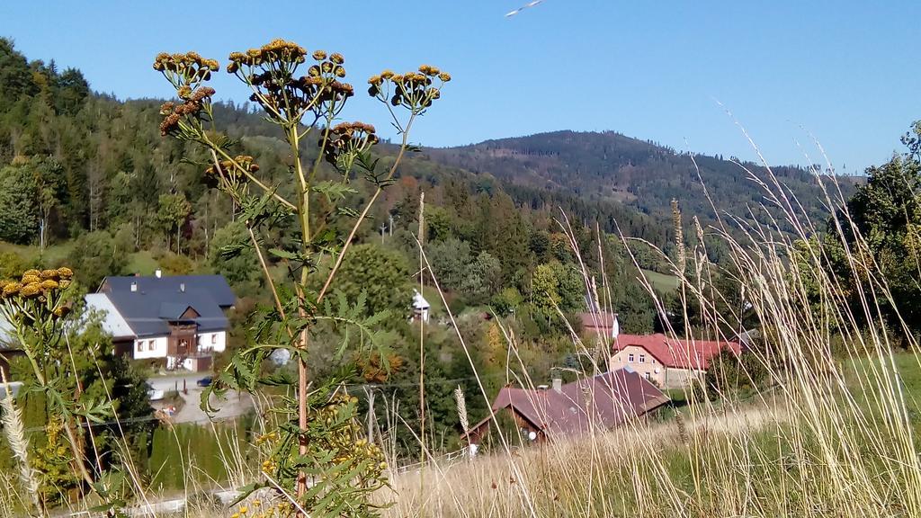 Penzion Edelstejn Petrovice  Exteriör bild