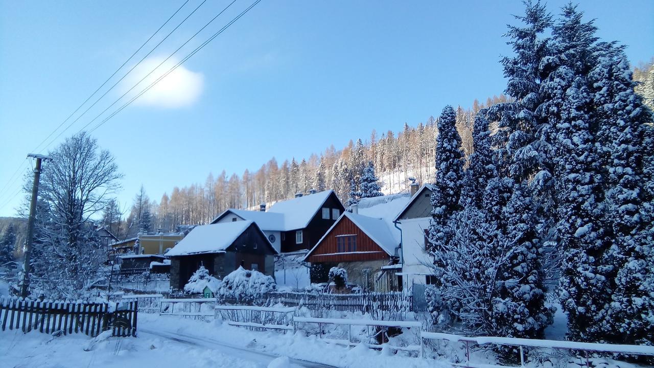 Penzion Edelstejn Petrovice  Exteriör bild