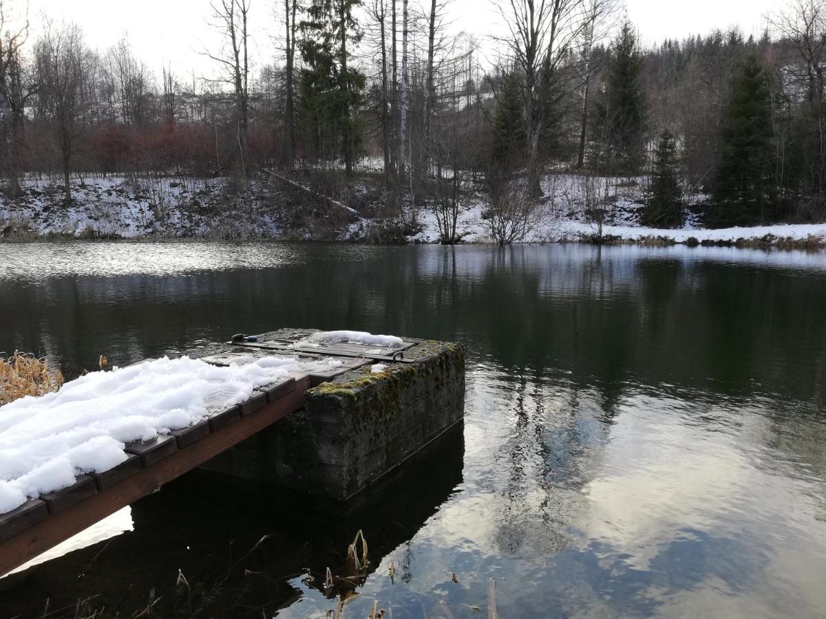 Penzion Edelstejn Petrovice  Exteriör bild
